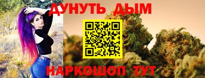 a pvp Гатчина
