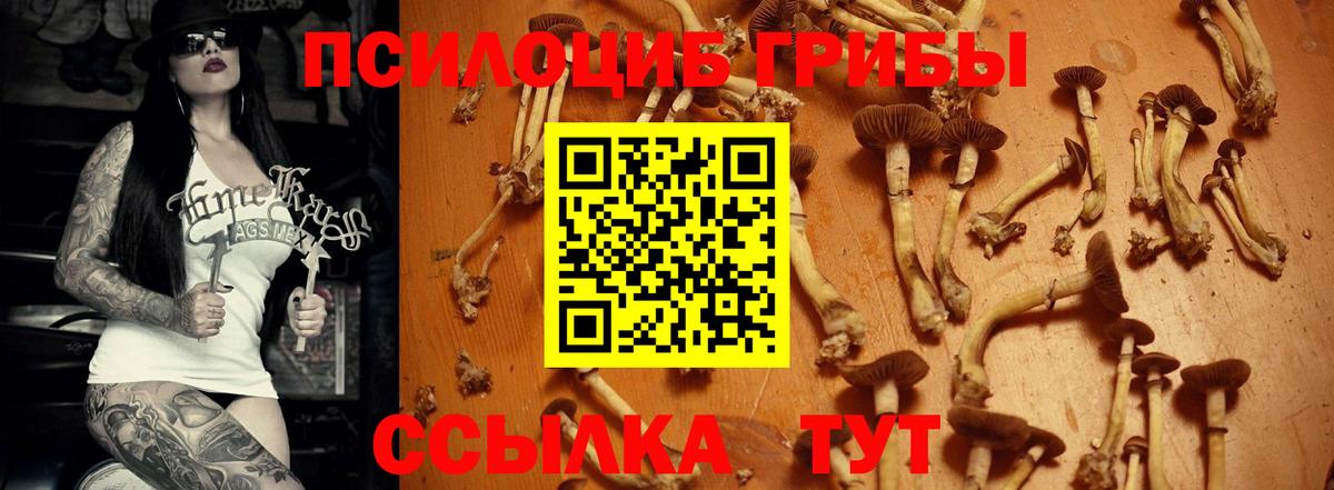 Псилоцибиновые грибы Magic Shrooms Москва