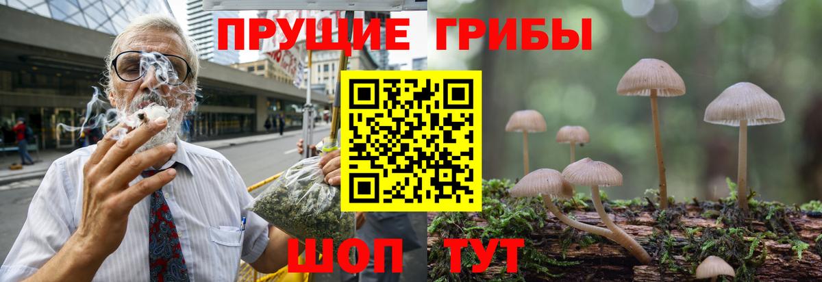 Москва  купить  сайты  Вход с VPN  Псилоцибиновые грибы прущие грибы 